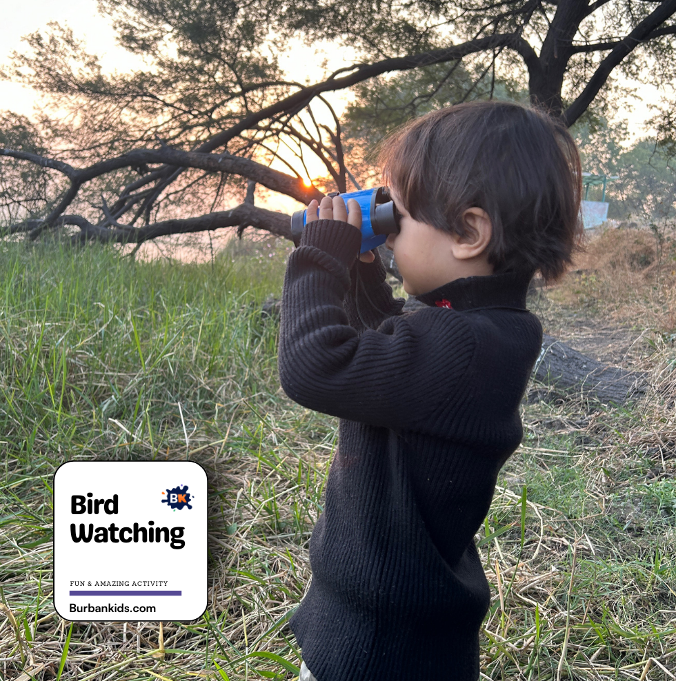 Bird Watching Bird watching
