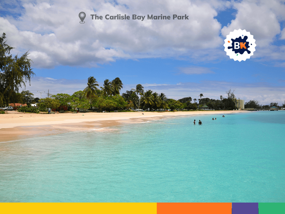 Carlisle Bay Marine Park In Barbados Carlisle Bay Marine Park In Barbados