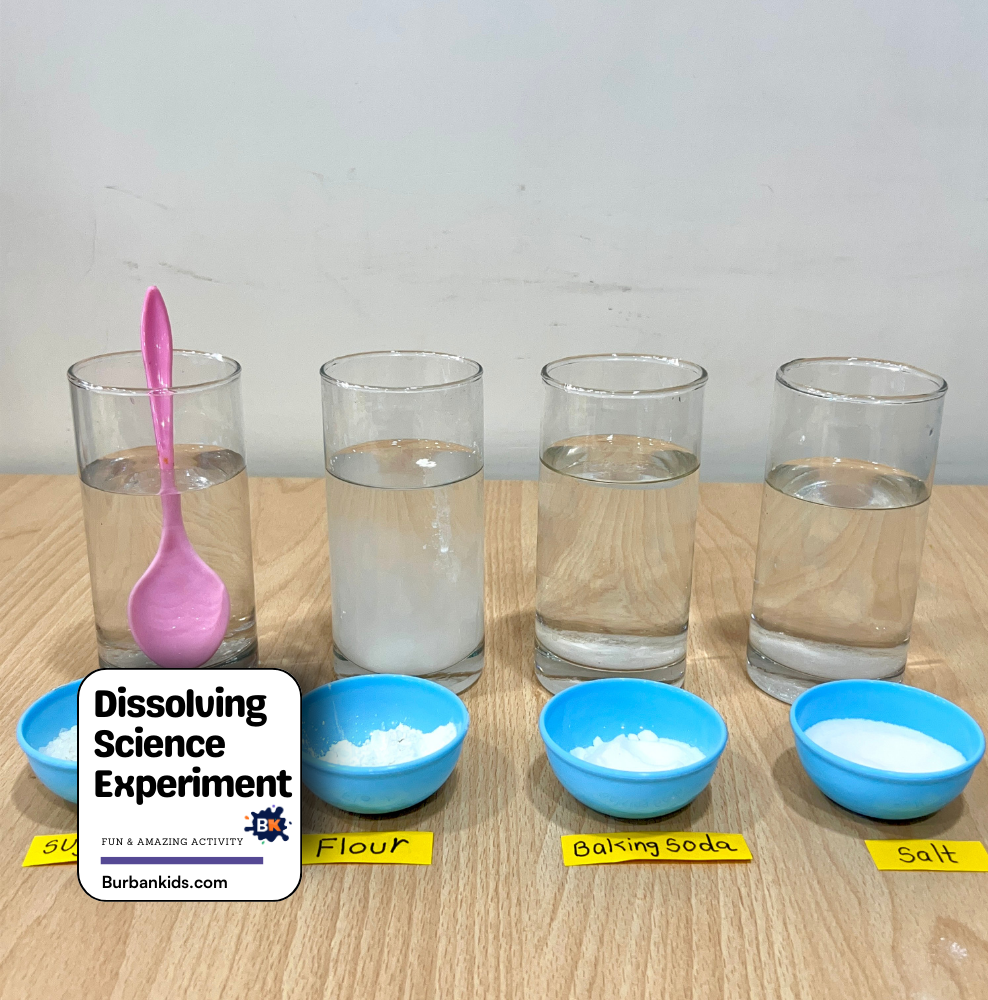Dissolving Science Experiment Dissolving Science Experiment