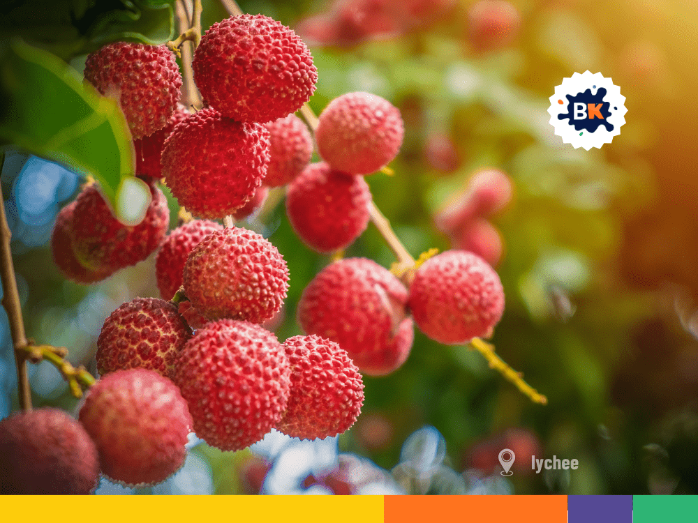 Exporter Of Tropical Fruits Exporter Of Tropical Fruits