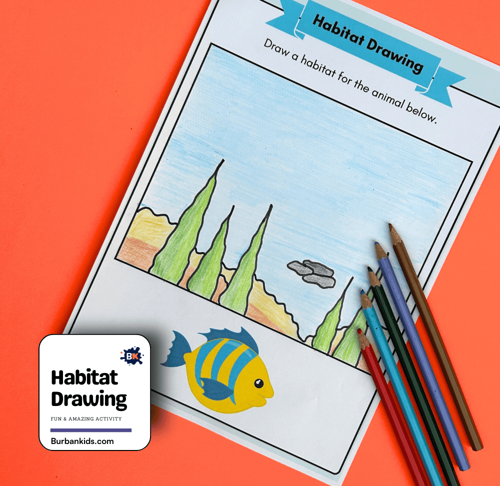 Habitat Drawing Activity