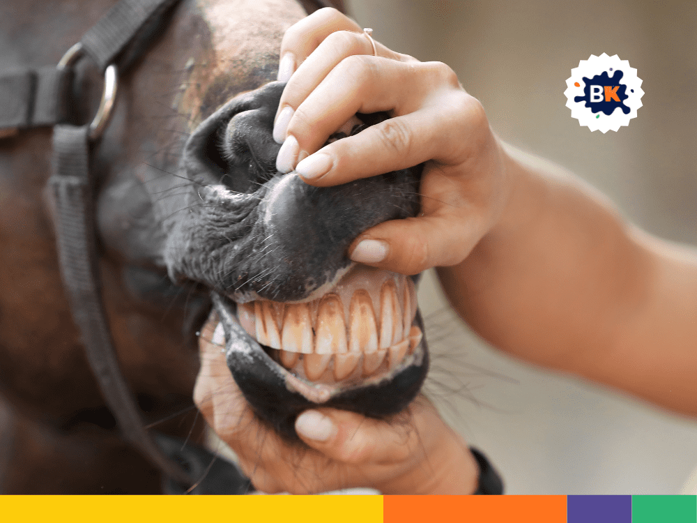 Horsesโ Teeth Horsesโ Teeth