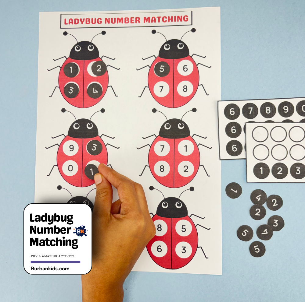 Ladybug Number Matching Ladybug Number Matching