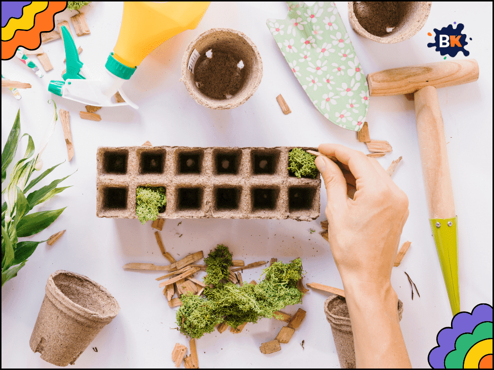 Make Seed Starters With Egg Cartons Make Seed Starters With Egg Cartons