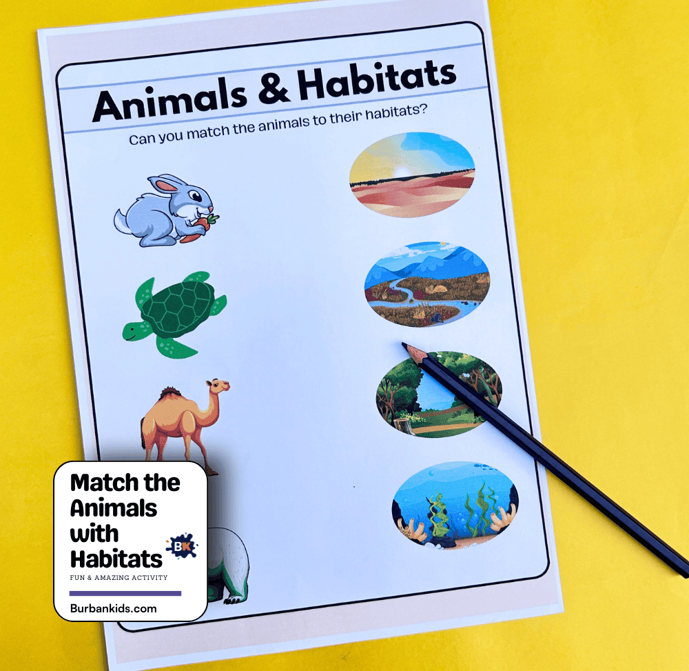 Match the Animals with Habitats Activity