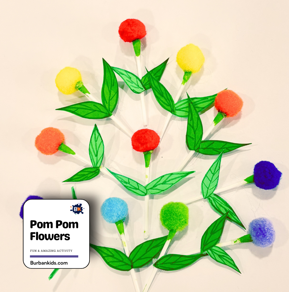 Pom Pom Flowers Pom Pom Flowers