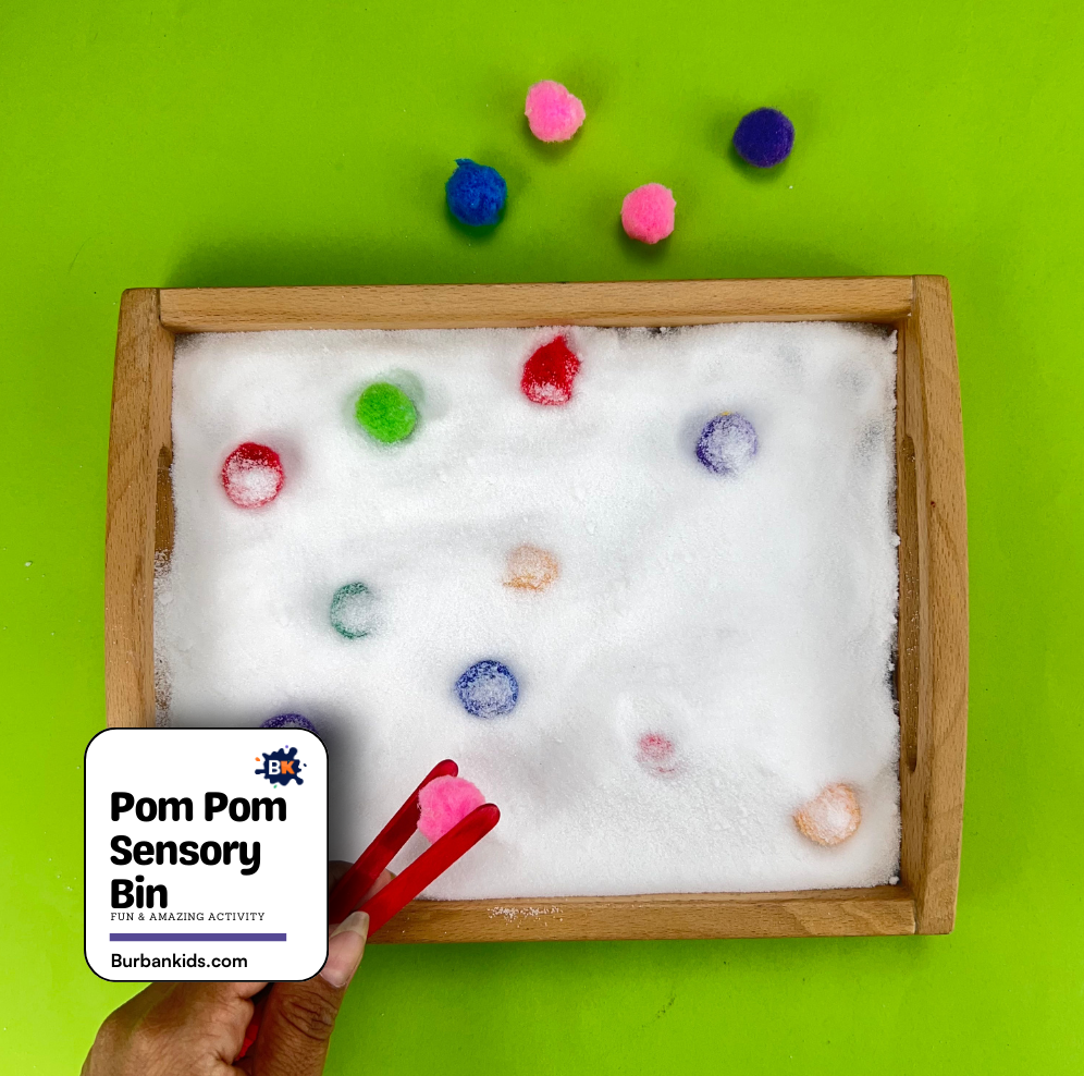 Pom Pom Sensory Bin Pom Pom Sensory Bin