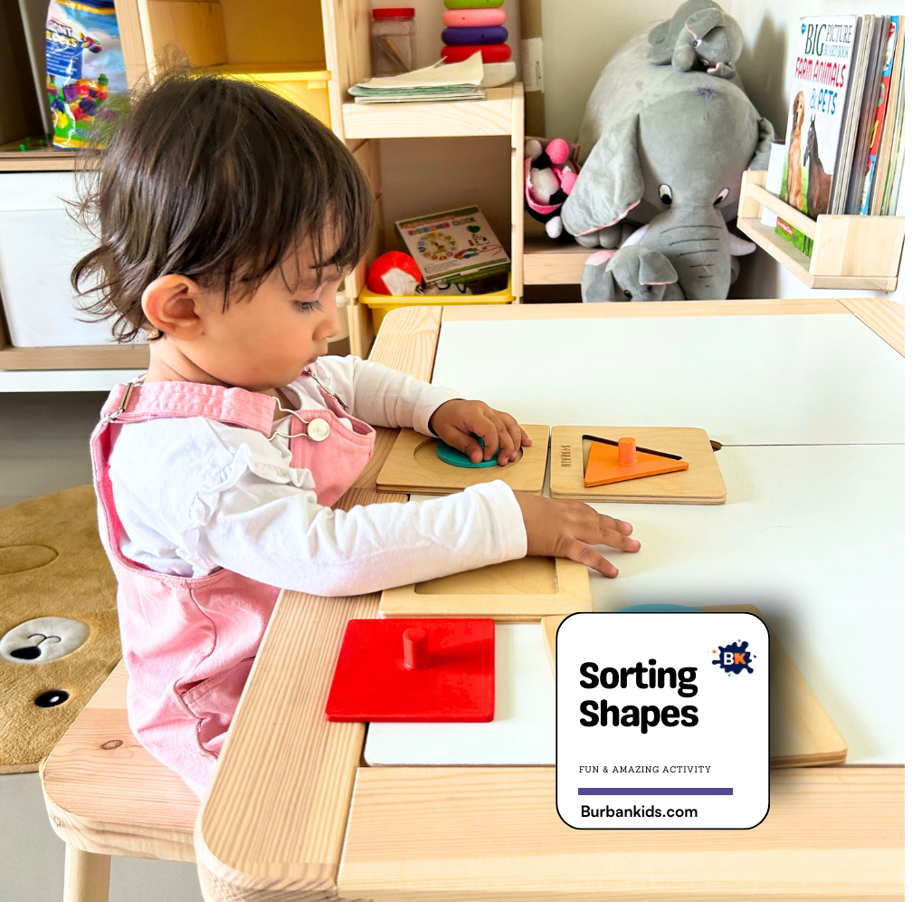 Sorting Shapes Sorting Shapes
