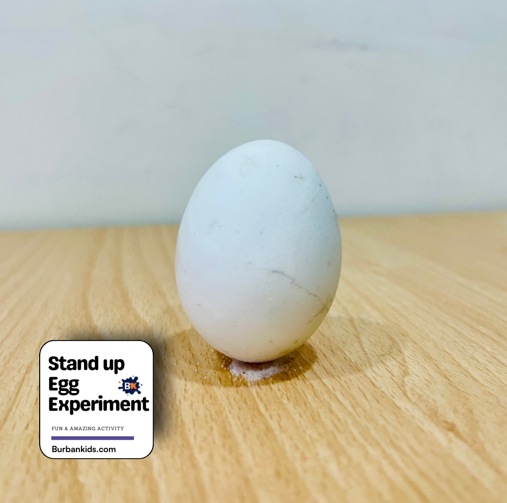 Stand up Egg Experiment Stand Up Egg Experiment