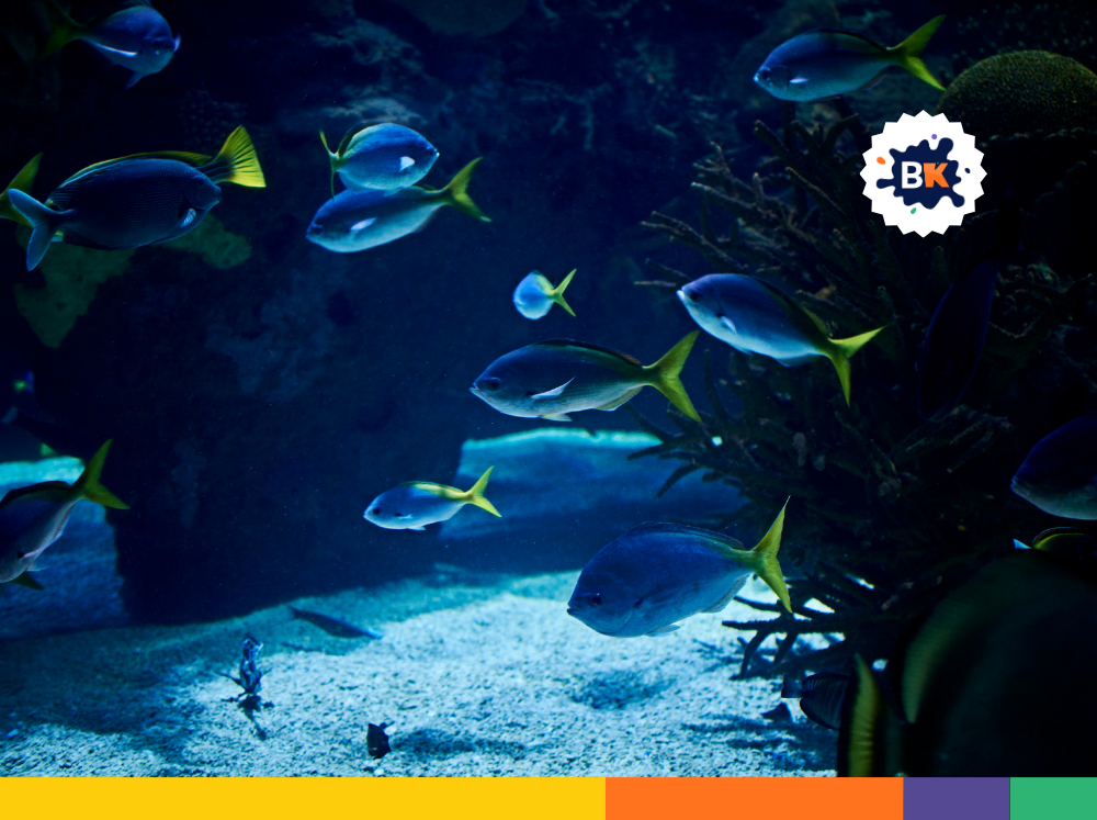 Indian Ocean Facts Indian Ocean Facts