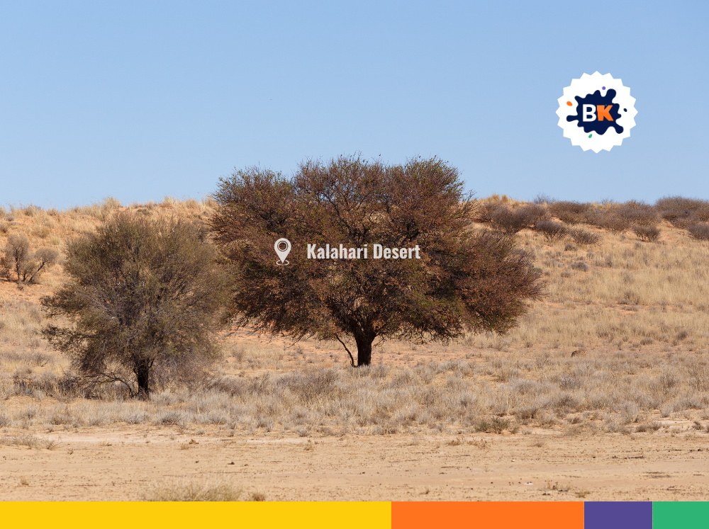 The Kalahari Desert The Kalahari Desert