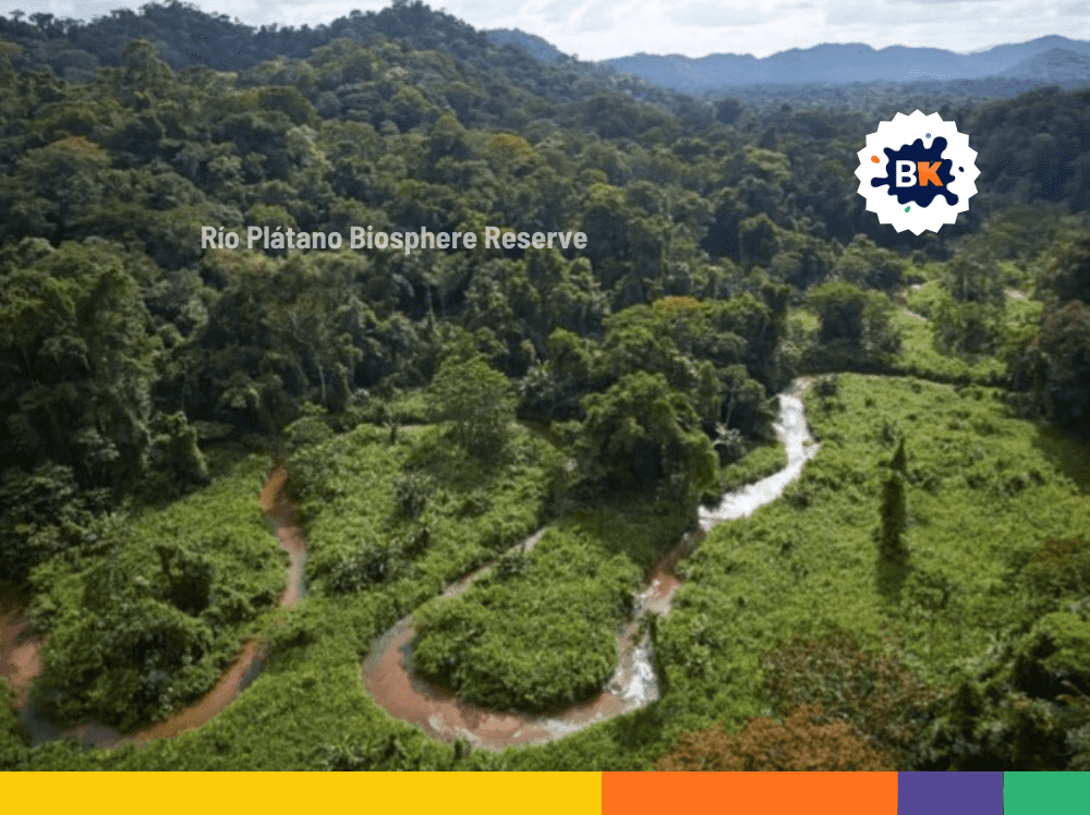 The Largest Rainforest In Central America The Largest Rainforest In Central America