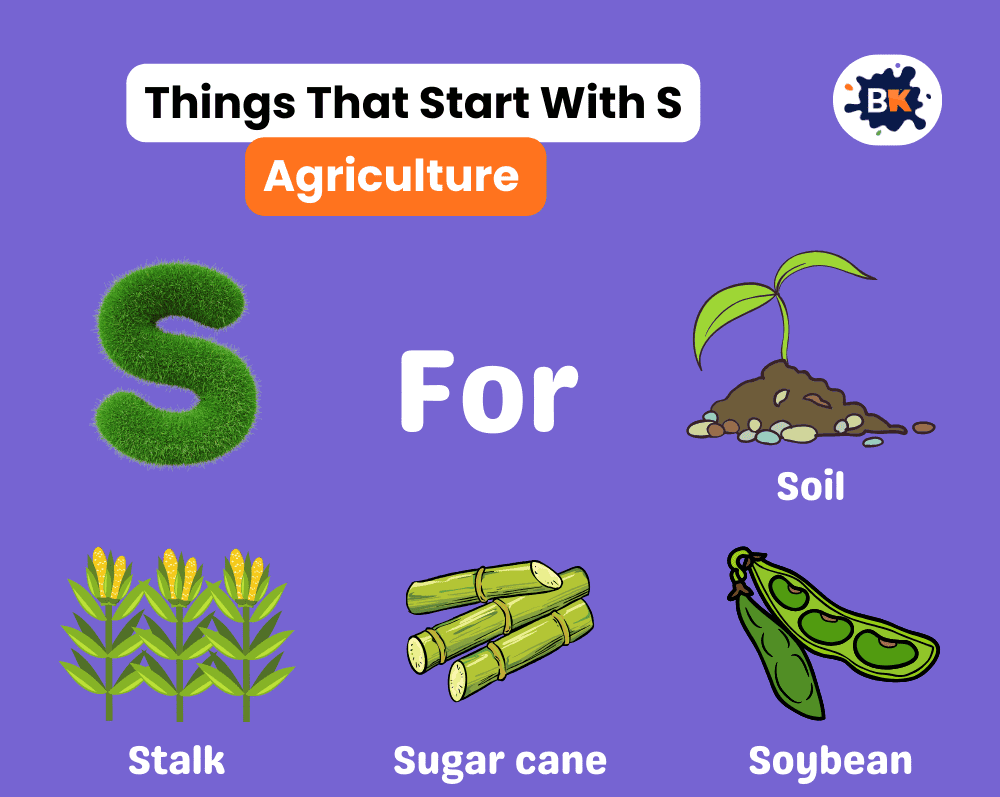 Things That Start With S