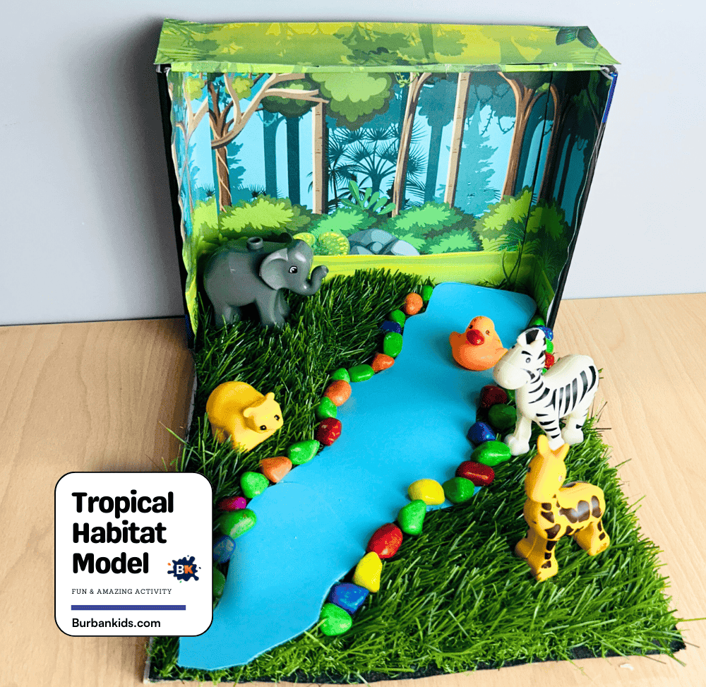 Tropical Habitat Model Making Activity