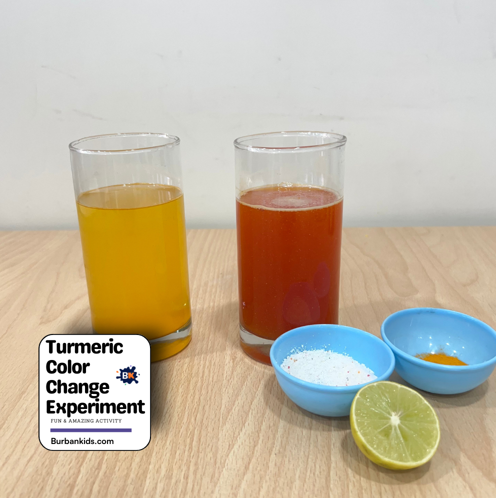 Turmeric Color Change Experiment Turmeric Color Change Experiment