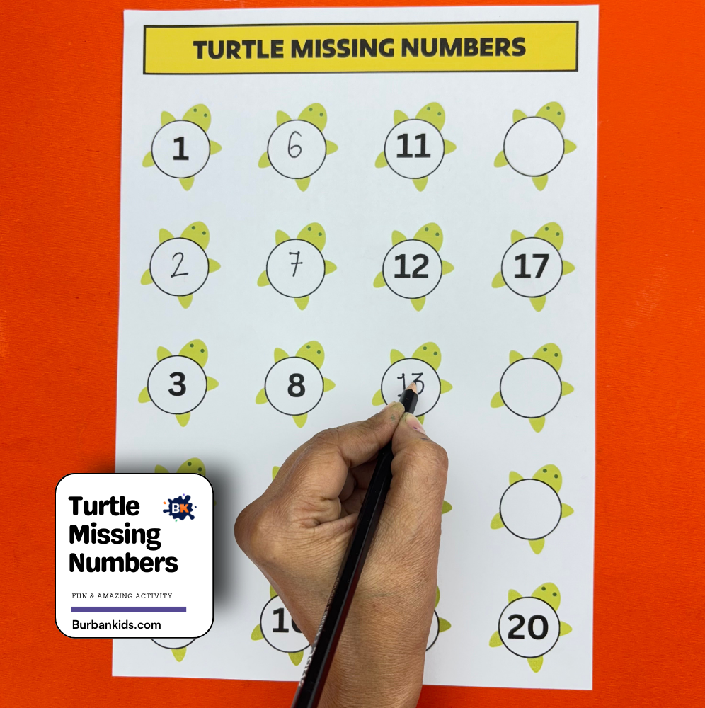 Turtle Missing Numbers Turtle Missing Numbers