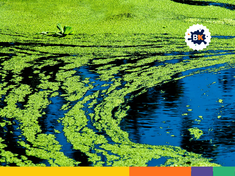 Algae In Bio-Herbicides Algae In Bio-Herbicides
