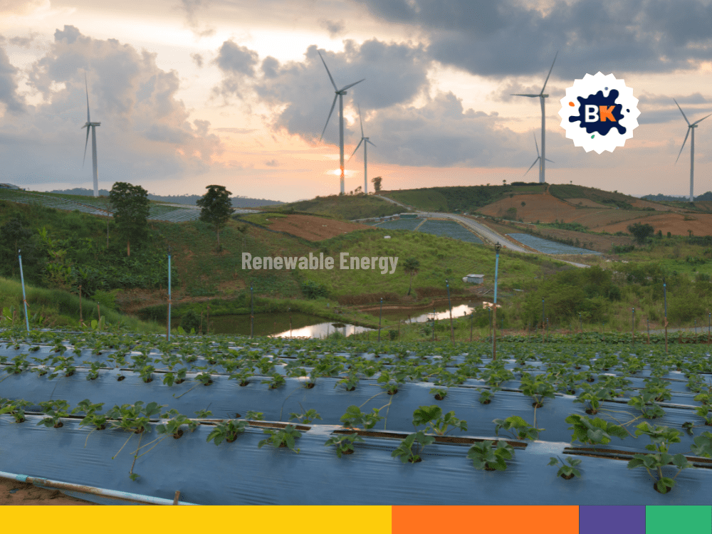 Algeria Is A Leader In Renewable Energy Algeria Is A Leader In Renewable Energy