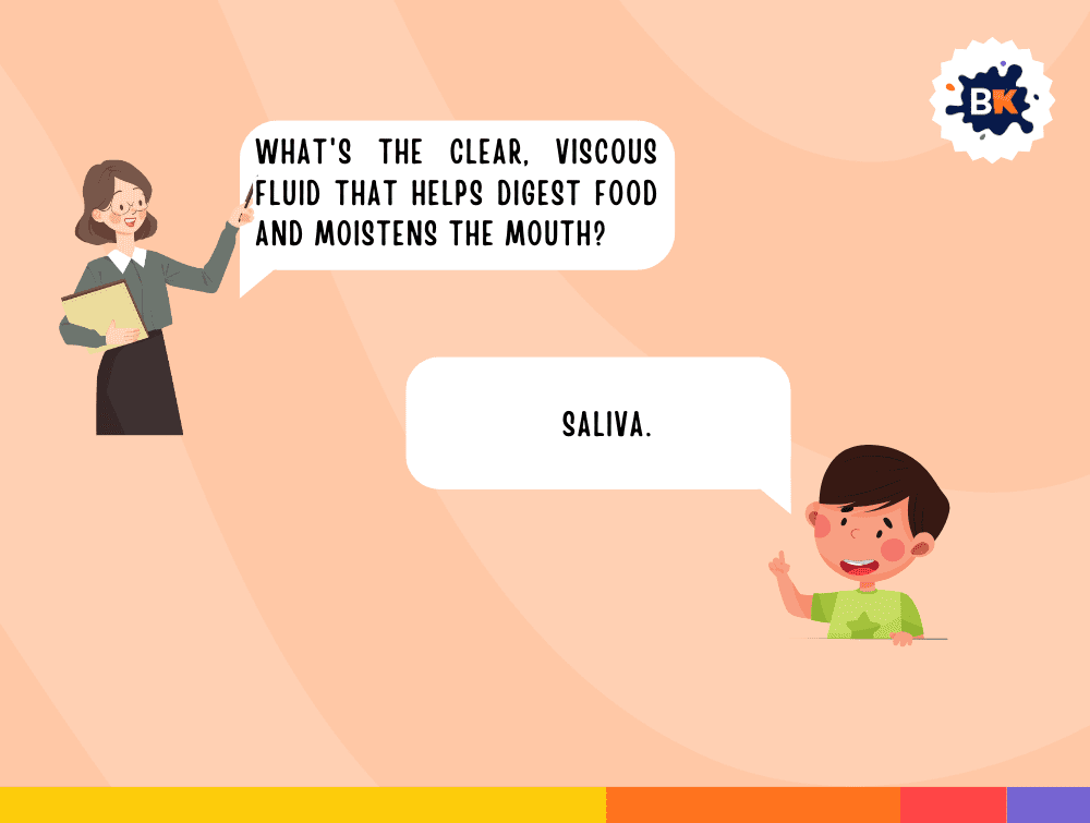Amazing Dental Trivia Questions For Kids