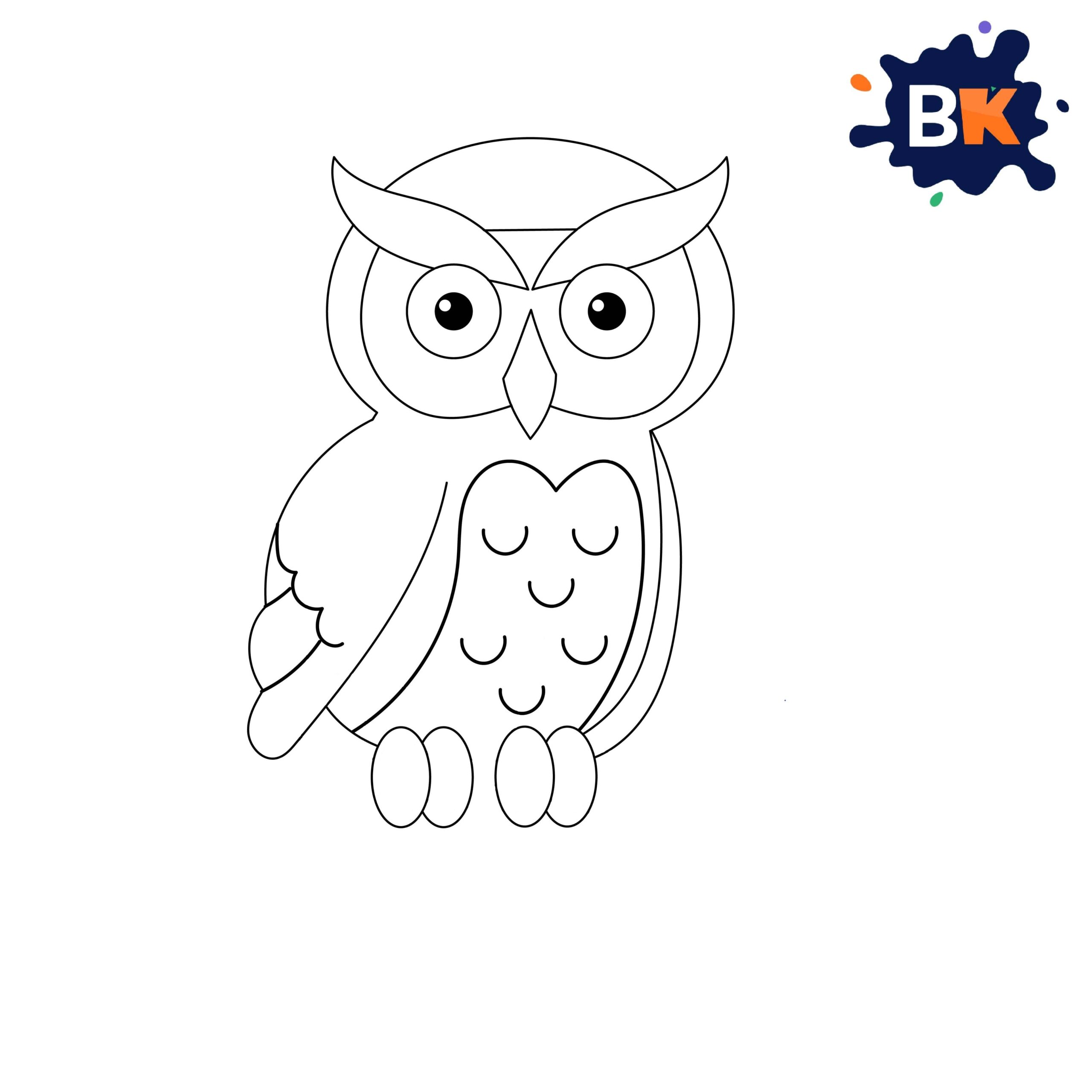 How to Draw Barn Owl Step 10 How to Draw Barn Owl Step 10