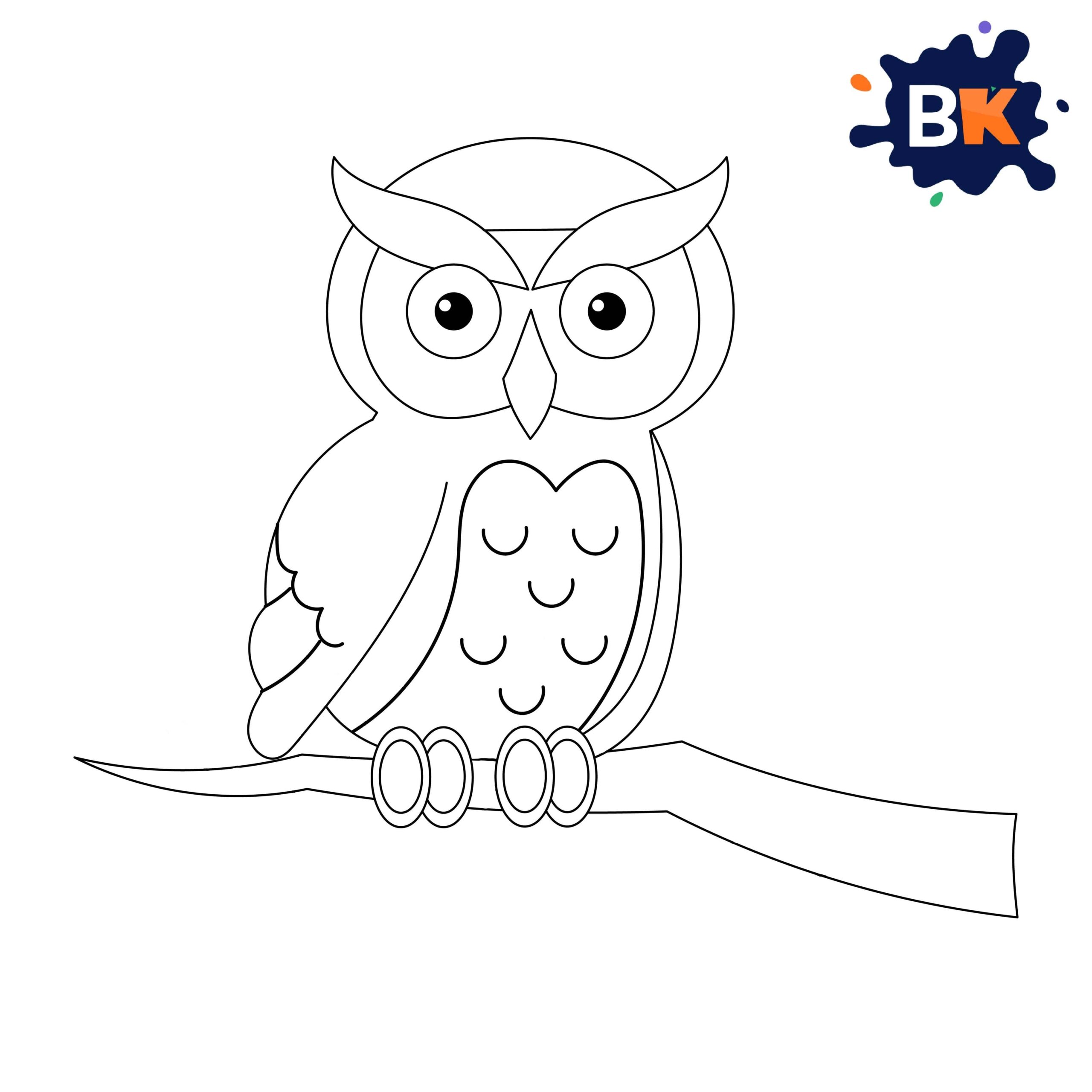 How to Draw Barn Owl Step 12 How to Draw Barn Owl Step 12