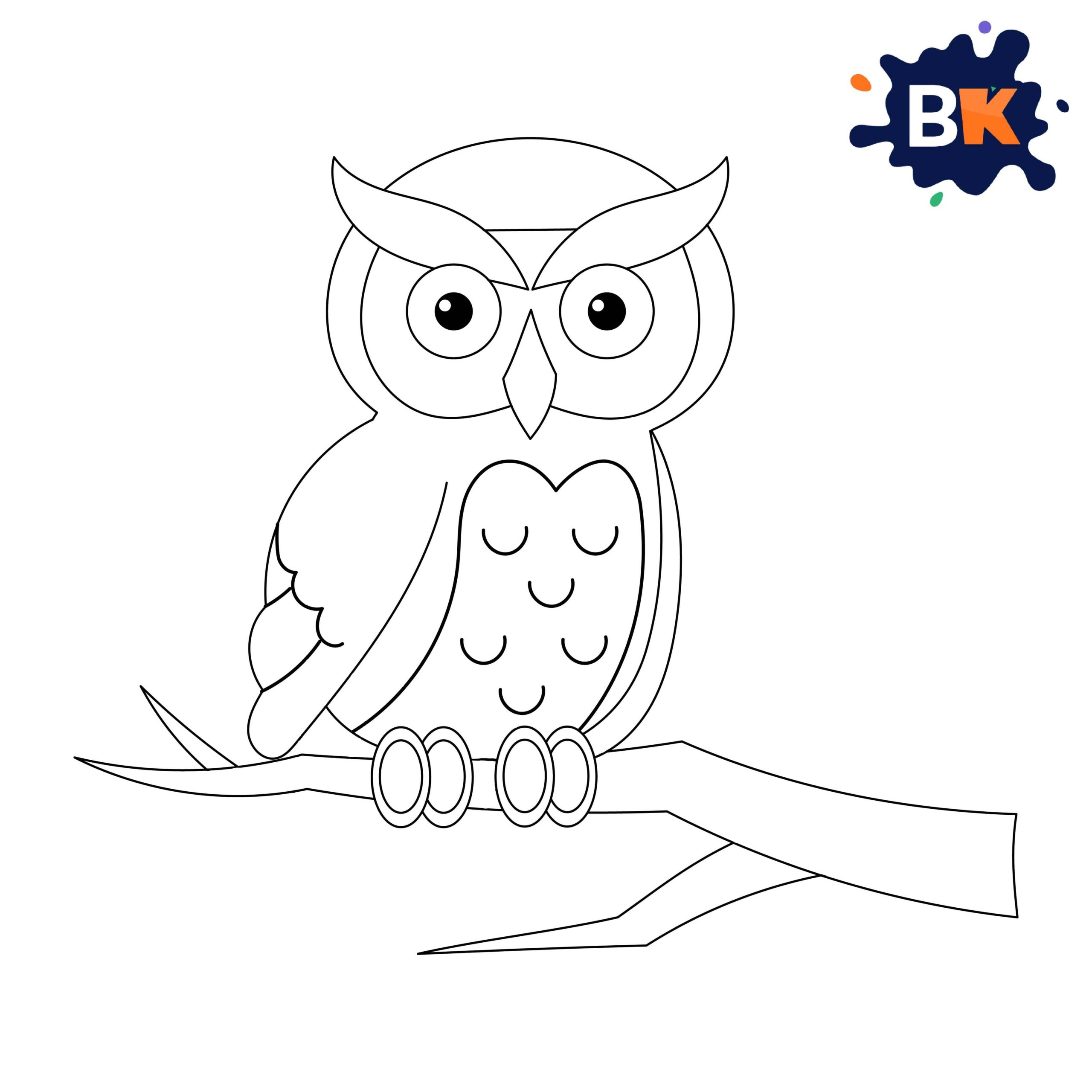 How to Draw Barn Owl Step 13 How to Draw Barn Owl Step 13