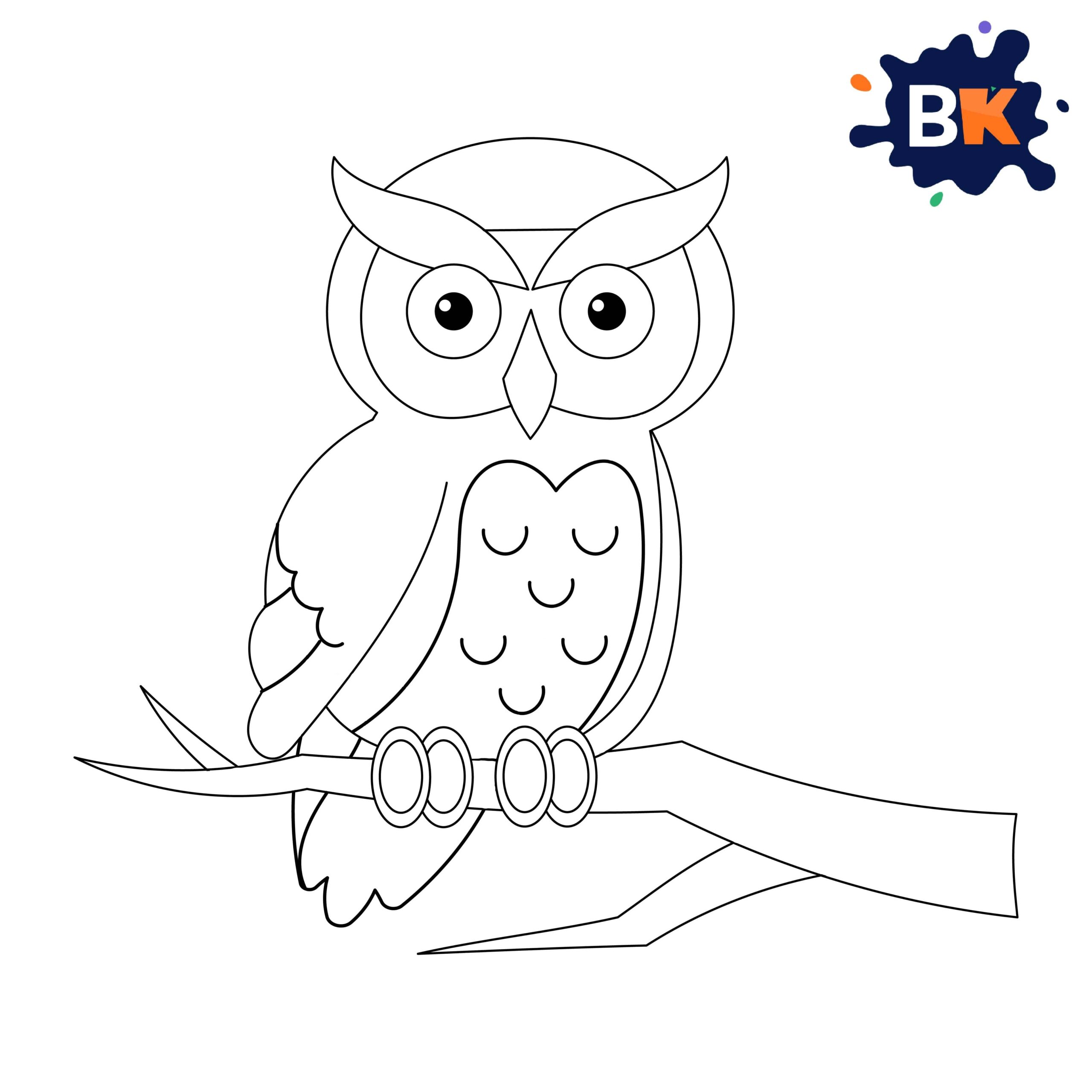 How to Draw Barn Owl Step 14 How to Draw Barn Owl Step 14