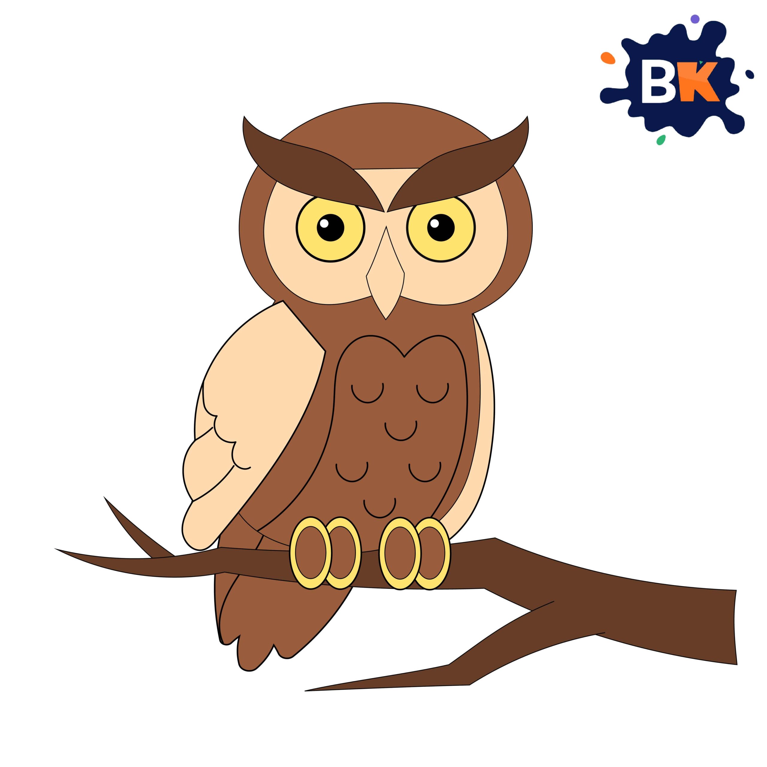How to Draw Barn Owl Step 15 How to Draw Barn Owl Step 15