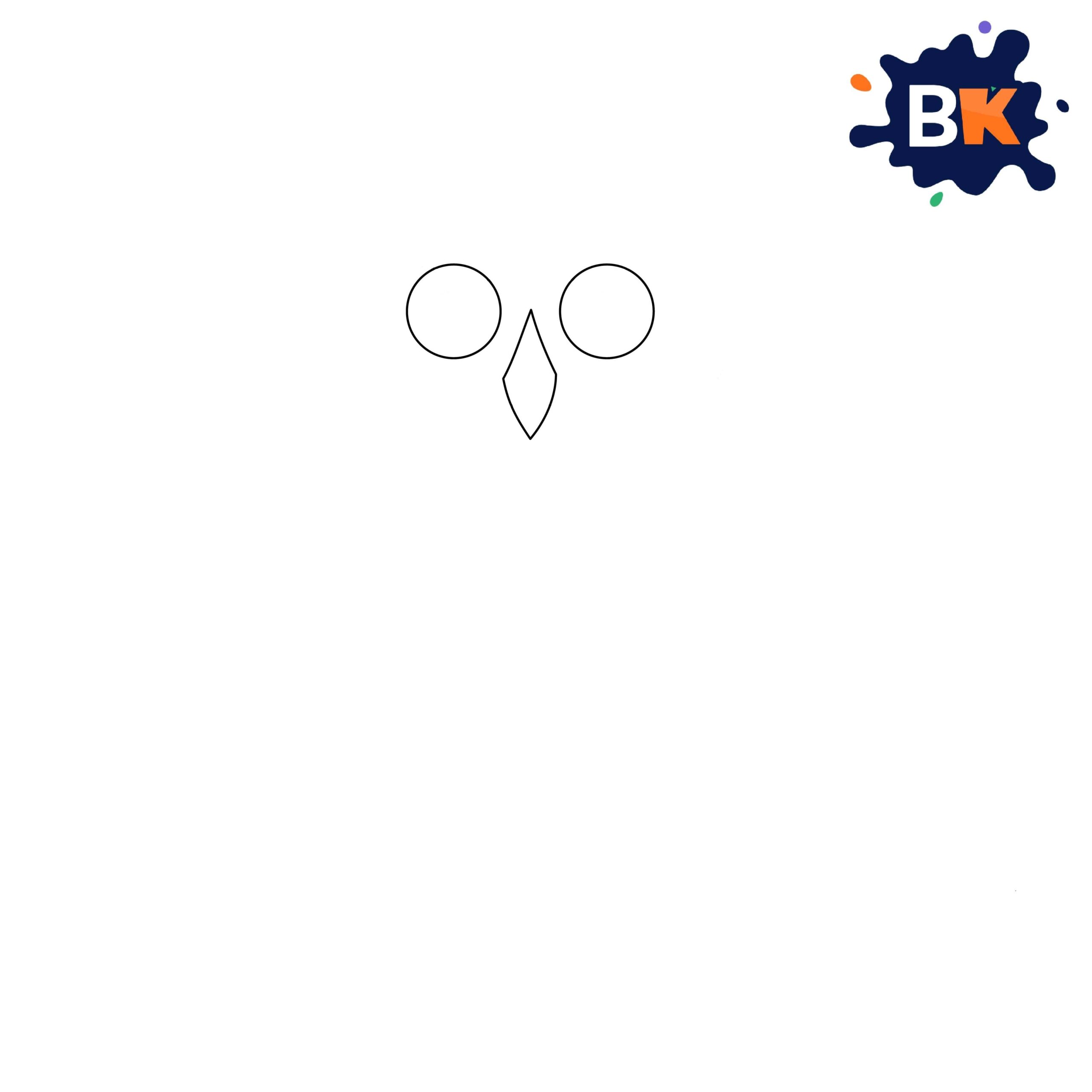 How to Draw Barn Owl Step 2 How to Draw Barn Owl Step 2