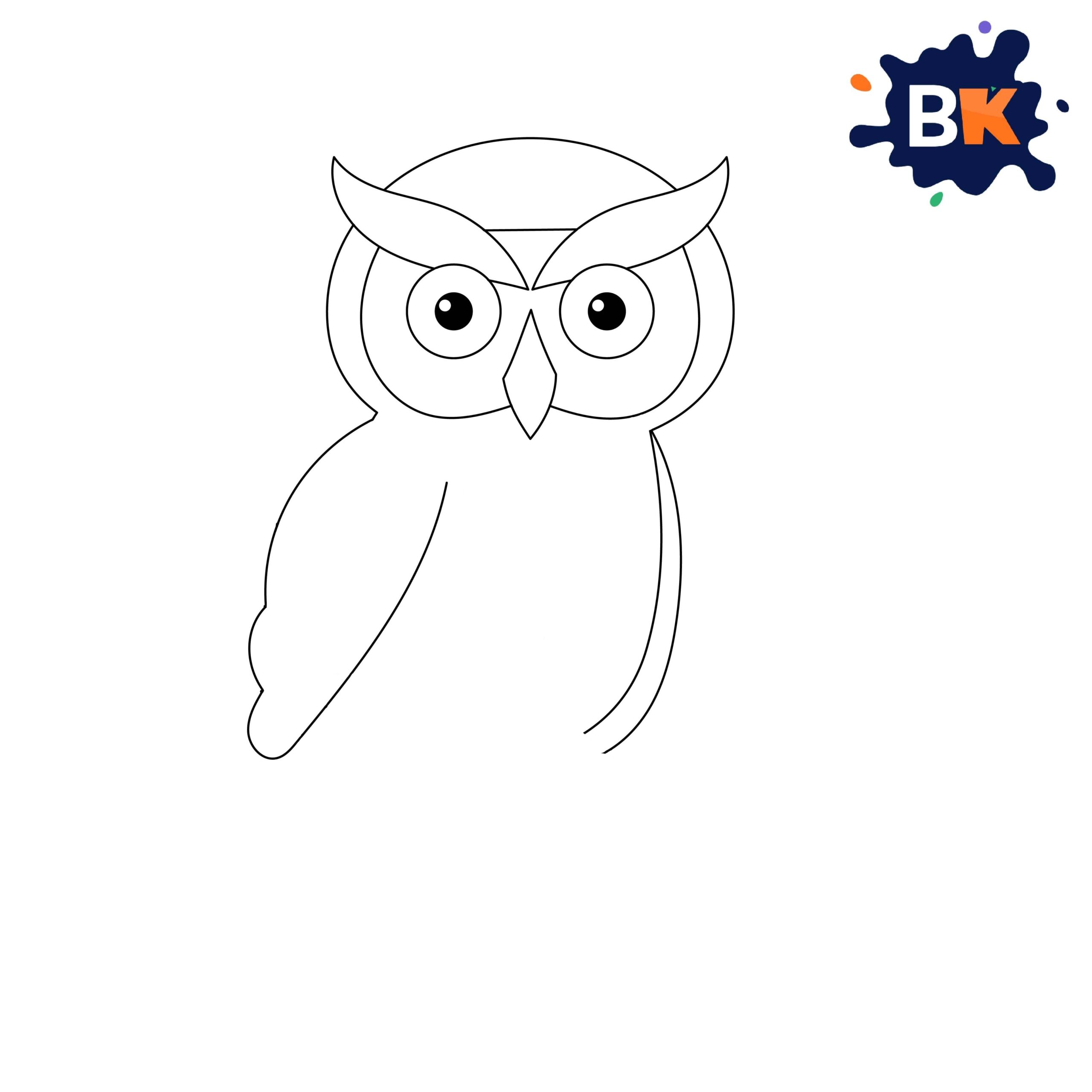 How to Draw Barn Owl Step 8 How to Draw Barn Owl Step 8