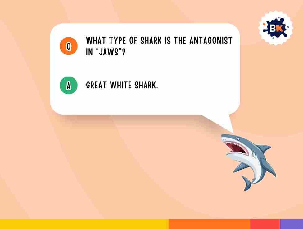 Best Jaws Movie Trivia Questions For Kids