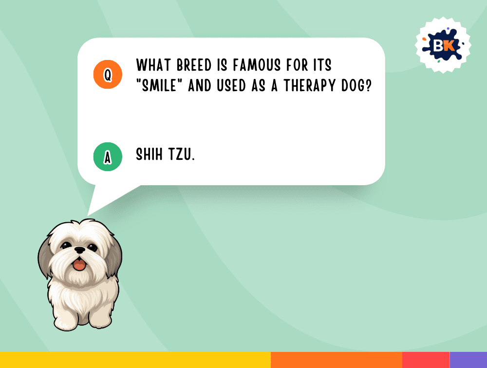 Brainy Dog Trivia Questions For Kids
