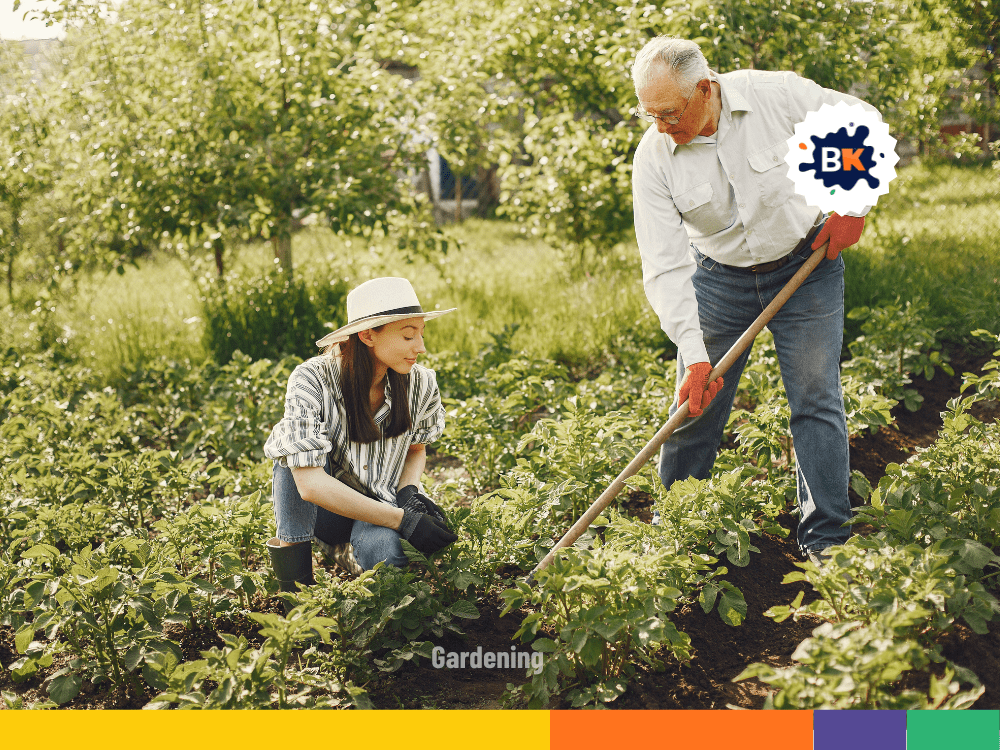 Careful Gardening Practices Careful Gardening Practices