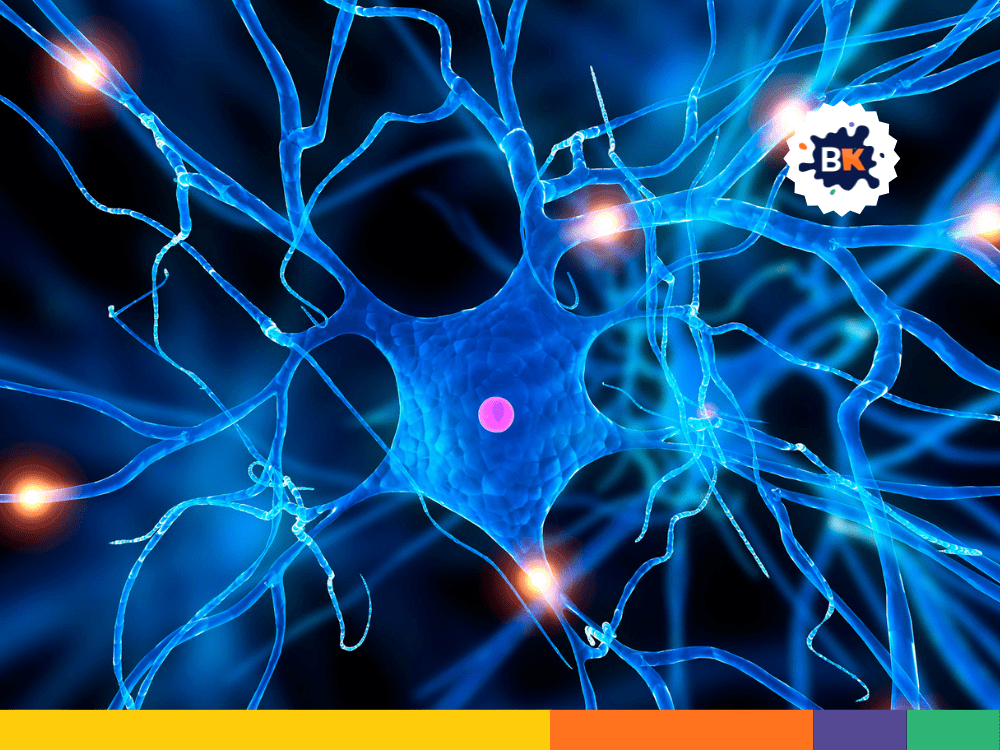 Complex, Interconnected Nervous System Complex, Interconnected Nervous System