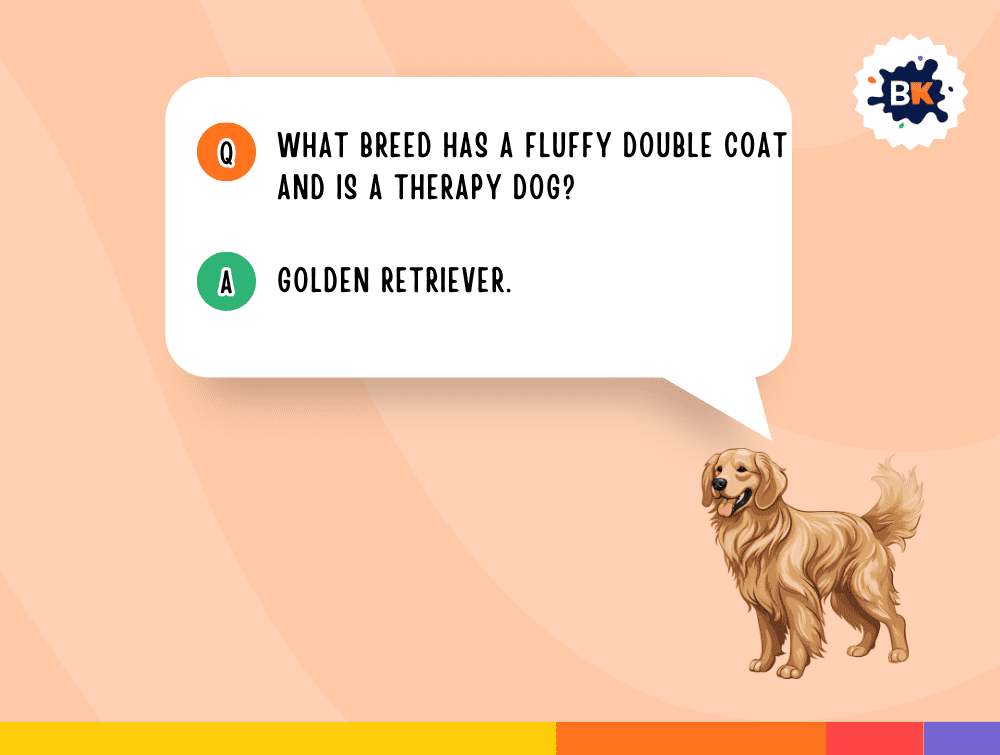 Educational Dog Trivia Questions For Kids