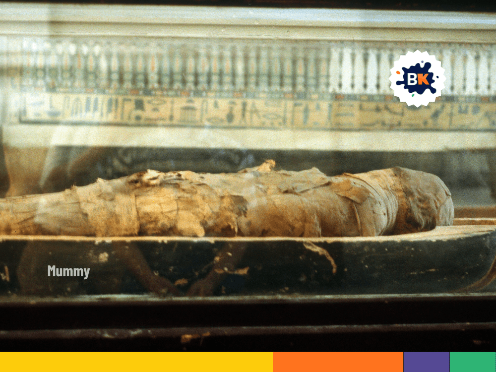 Egyptian Mummy Egyptian Mummy