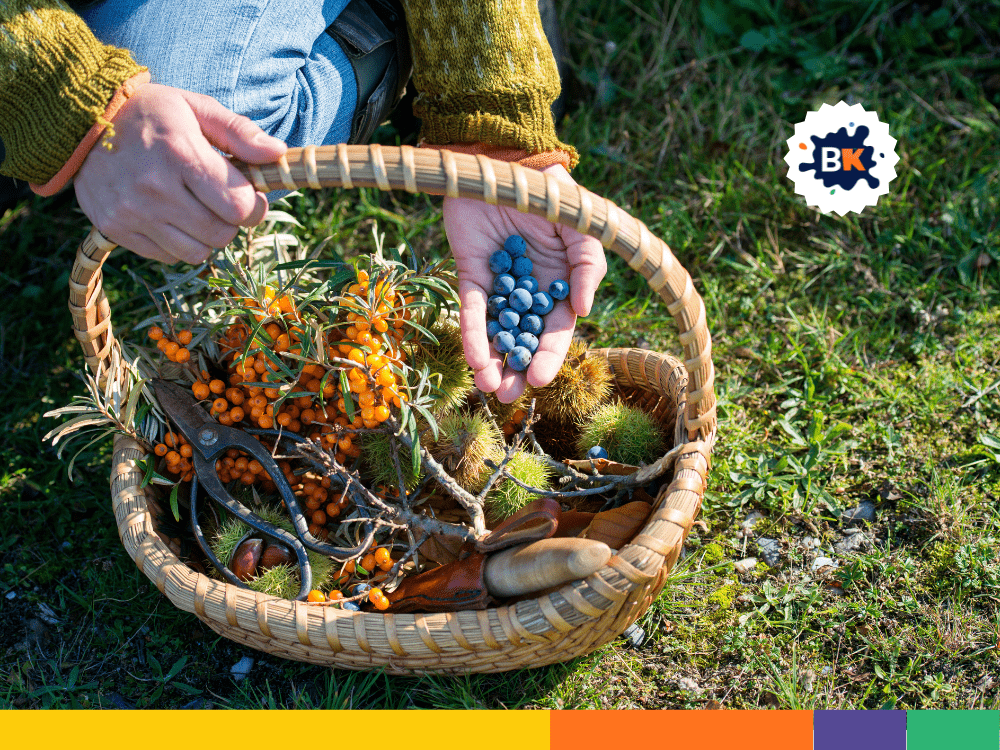 For experienced people, Foraging is a great option For experienced people, Foraging is a great option