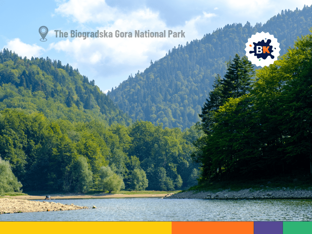 Forests of Montenegro Forests of Montenegro