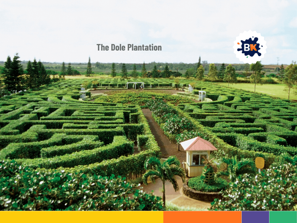 Hawaii 's The Dole Plantation Hawaii 's The Dole Plantation