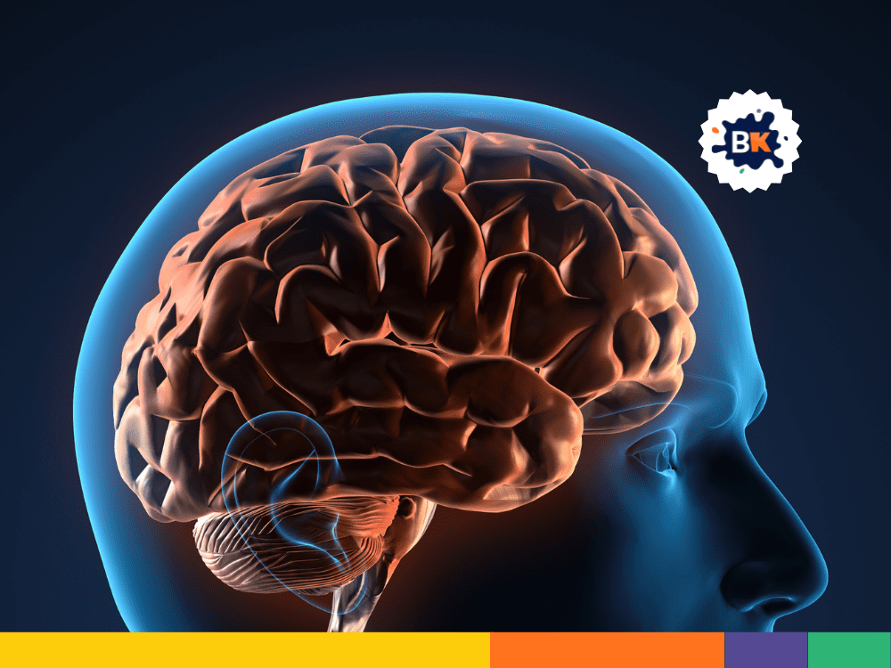 Hot Flashes Affects Human Memory Hot Flashes Affects Human Memory