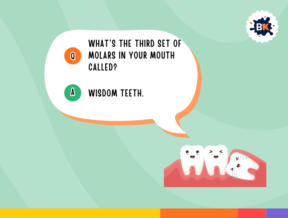 Informative Dental Trivia Questions For Kids