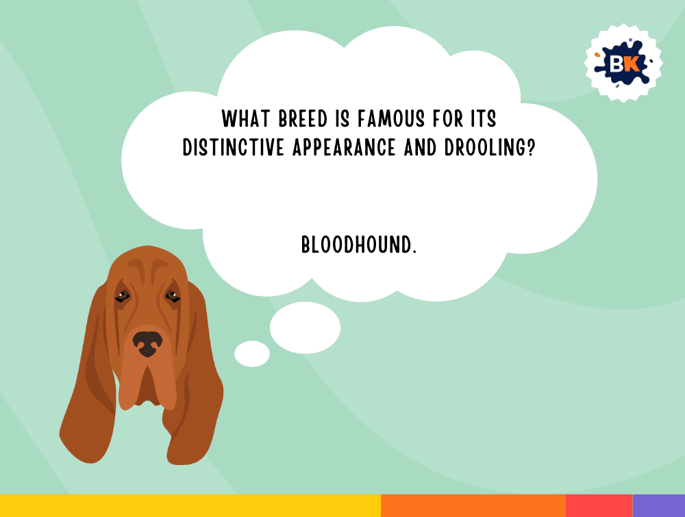 Insightful Dog Trivia Questions For Kids