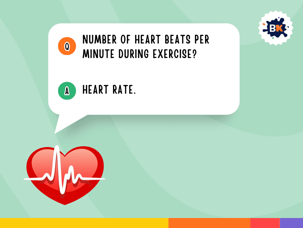 Intelligent Fitness Trivia Questions For Kids
