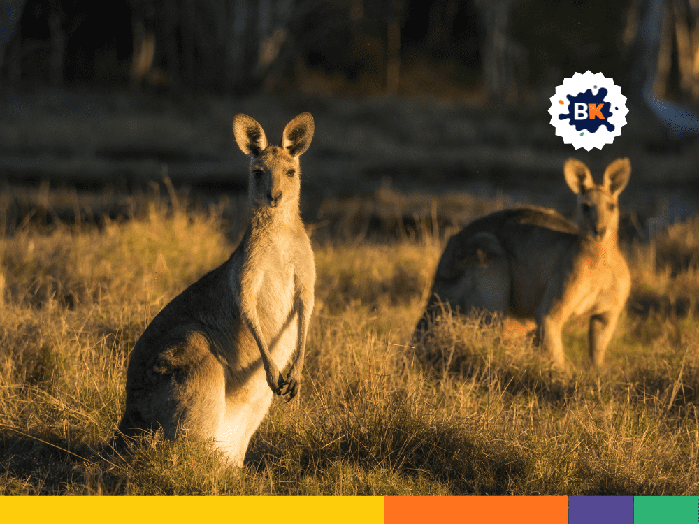 Kangaroos Don’t Develop Sweat Glands Kangaroos Don’t Develop Sweat Glands