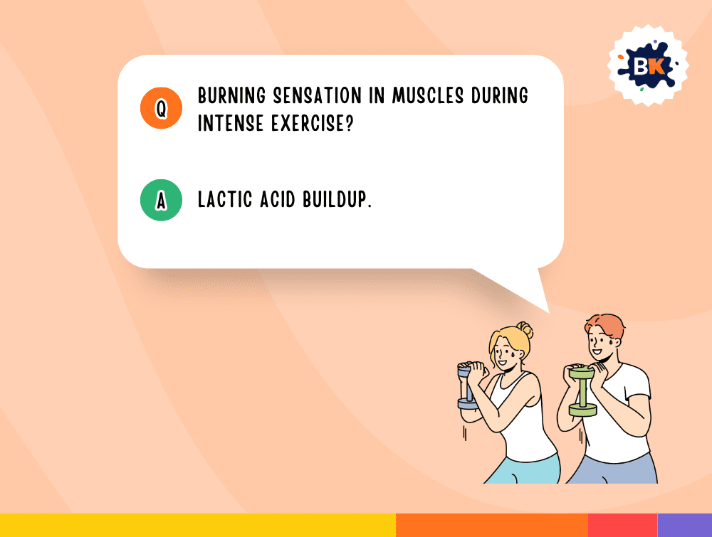 Knowledgeable Fitness Trivia Questions For Kids