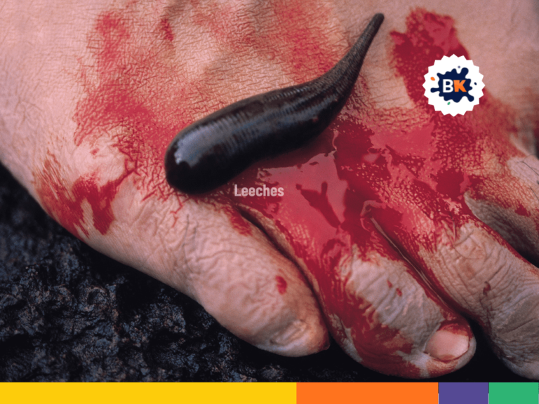 19 Parasites Facts: The Truth About These Intrusive Organisms