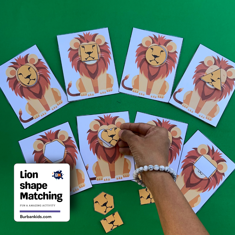 Lion shape Matching Lion Shape Matching