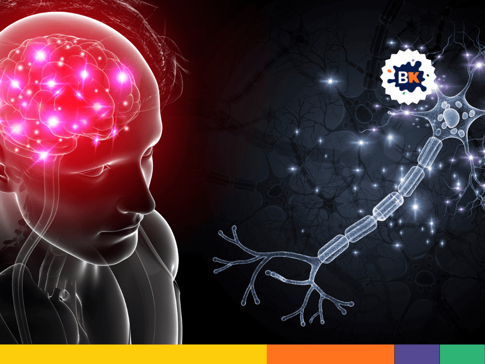 Majority of memory develops from 15-25 Majority of memory develops from 15-25