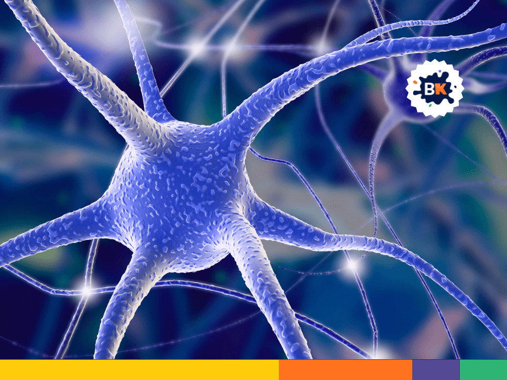 Millions Of Nerve Cells In Human Body Millions Of Nerve Cells In Human Body