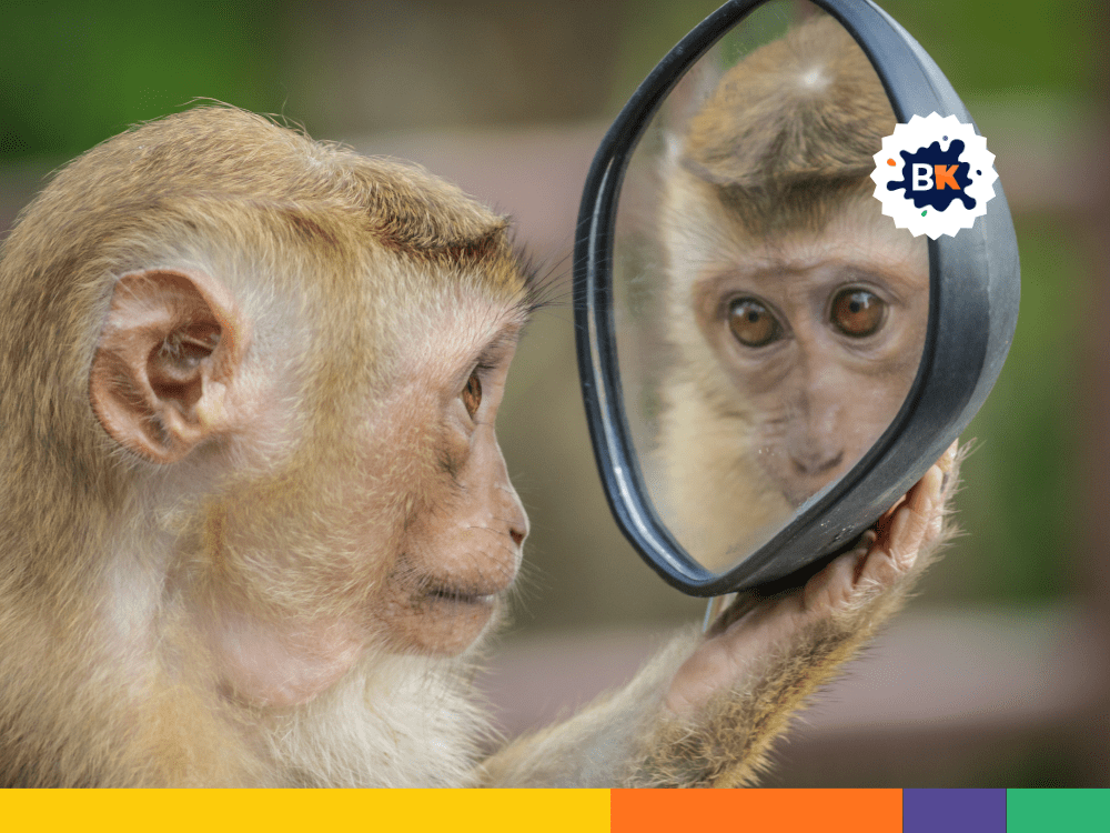 Monkeys Can Recognize Themselves In Mirrors Monkeys Can Recognize Themselves In Mirrors